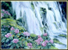 Waterfalls