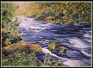 Landscapes